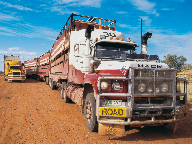 Road and rail supply chain resilience review launched | News