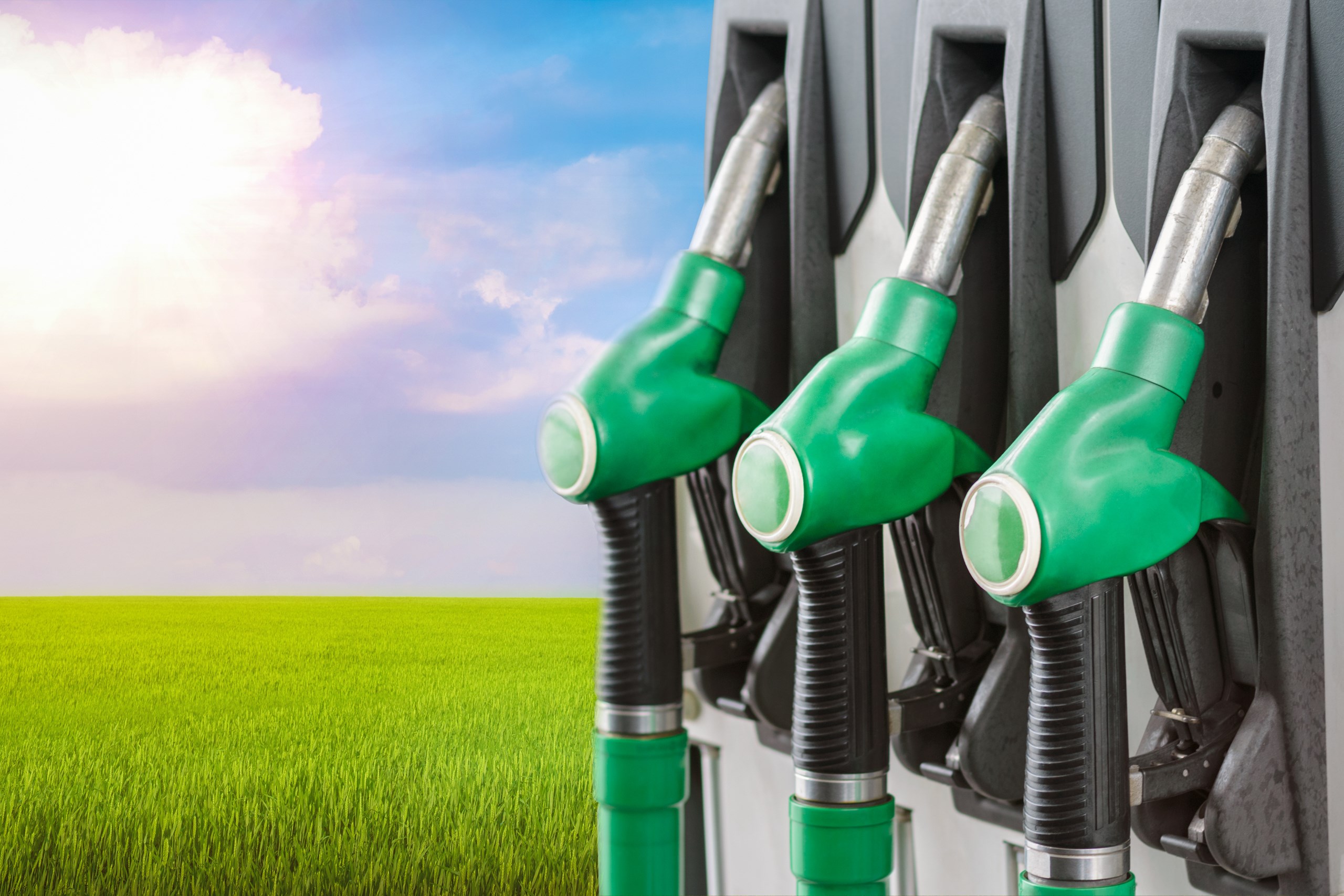 HVIA calls for government to support a local renewable diesel industry