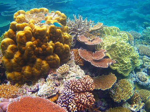 Barrier Reef before coal: QRC - Fully Loaded